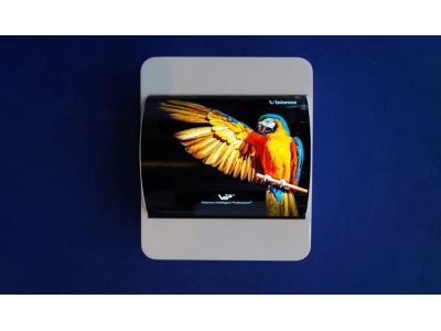 pg电子-赏金女王(中国)官方网站
新的产品线---OLED介绍